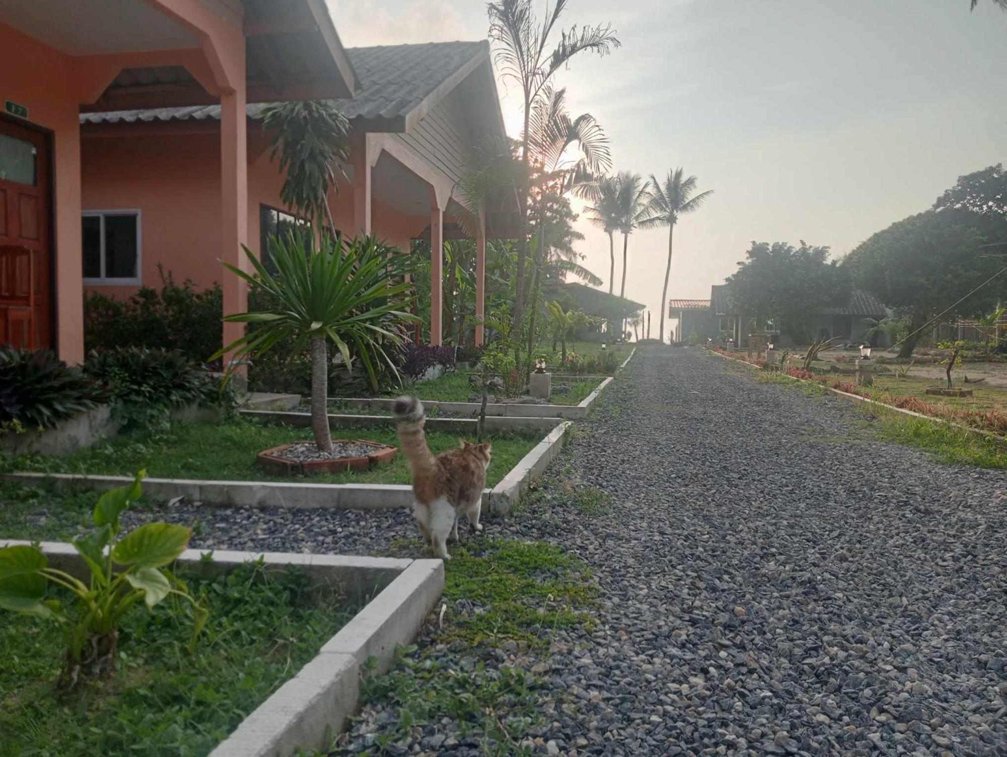 Scandinavian Beach Resort Ko Lanta Esterno foto